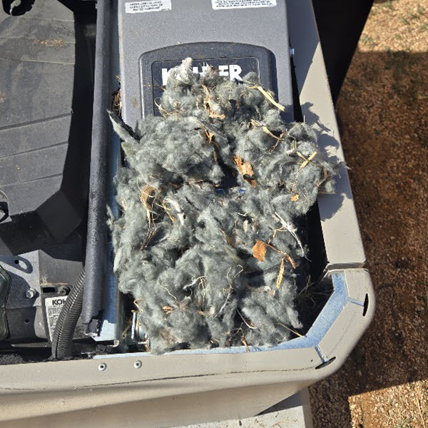 kohler-generator-maintenance-rodent-nest-1